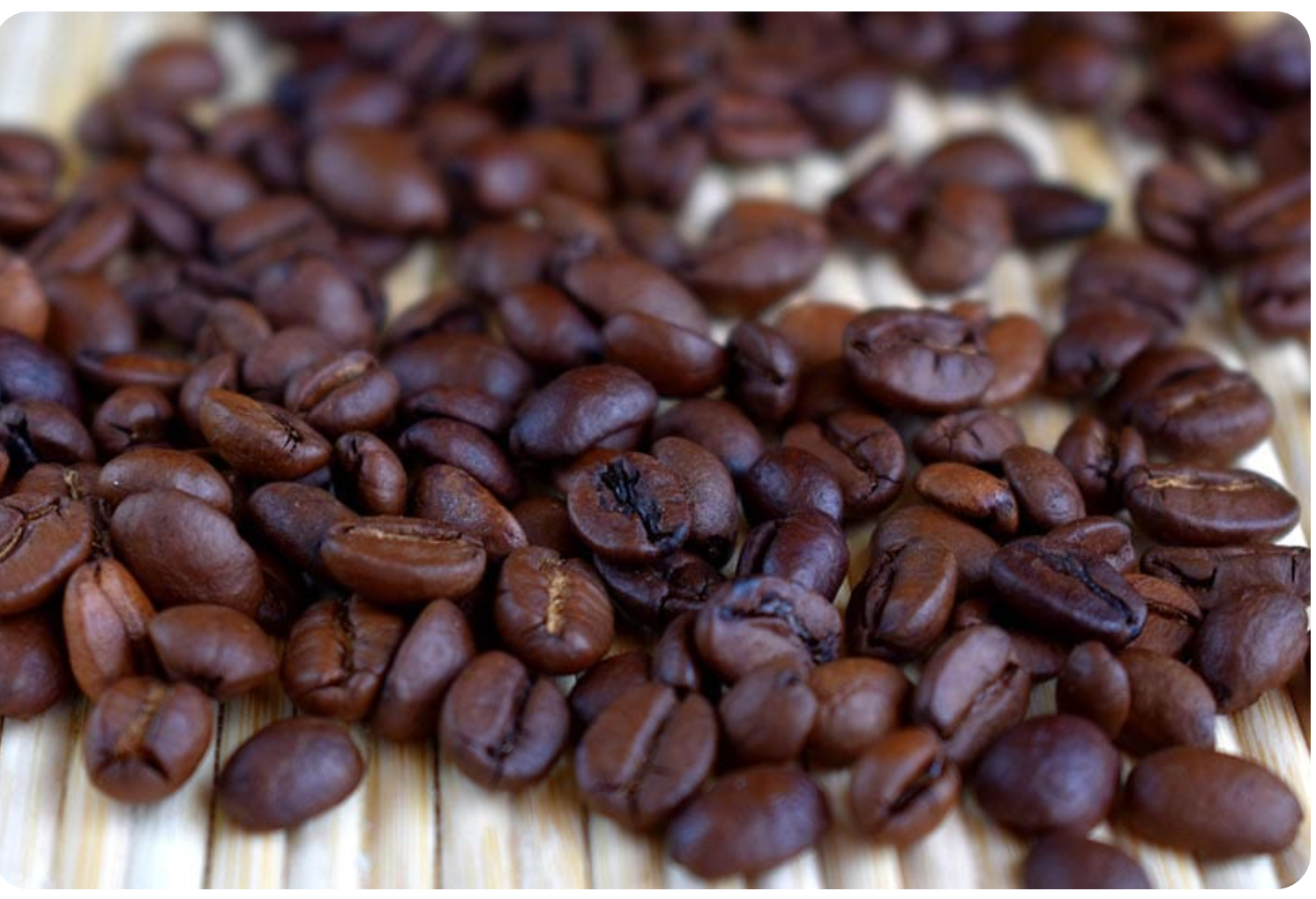 Arabica coffee beans